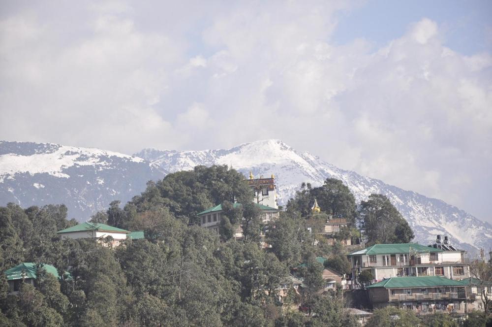 Oyo 28425 Dal Lake Resort 达兰萨拉 外观 照片